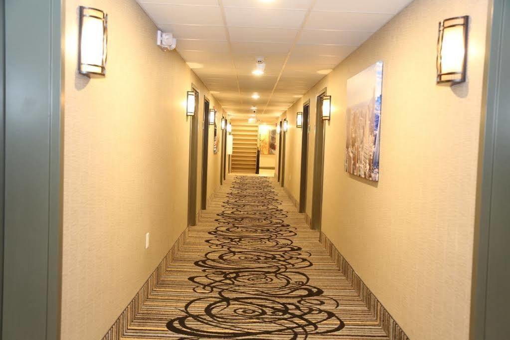 埃尔姆伍德帕克 埃尔姆伍德红地毯旅店酒店 外观 照片